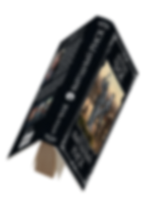 Книга Антон Чиж